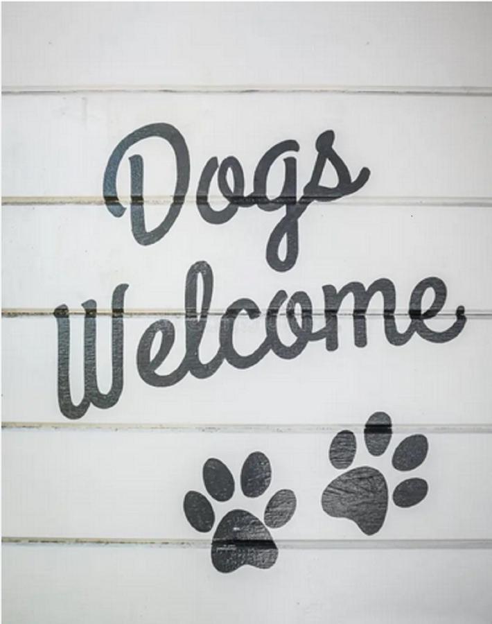 Jasmine'S Retreat - Pet Friendly, Ingoldmells Apartment Bagian luar foto
